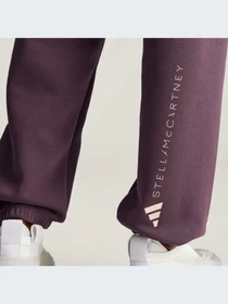 Брюки Adidas модель IW9856 Фото