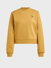 Худи и свитшоты Adidas модель IW9928 Фото