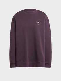 Худі та світшоти Adidas модель IW9854 Фото