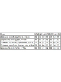 Костюмы Носи своє модель 6410-025-dimchastij Фото