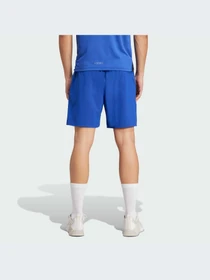 Шорты Adidas модель IX9117 Фото