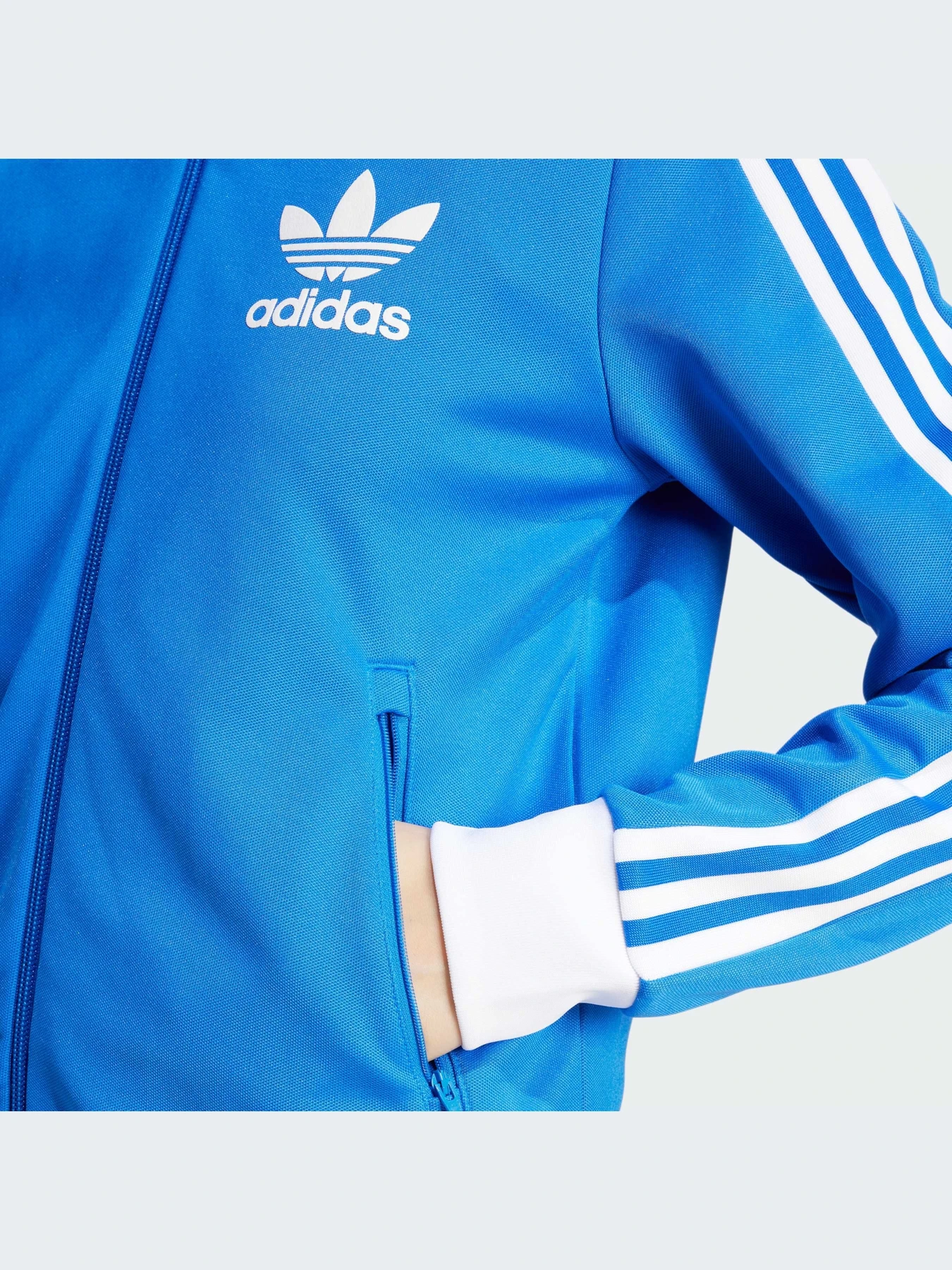Худи и свитшоты Adidas Adicolor модель IY2223 Фото