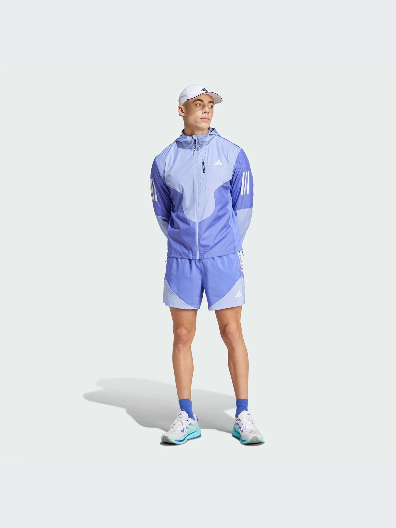 Шорты Adidas модель IW0036 Фото