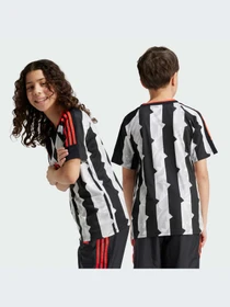 Футболки и поло Adidas Tiro модель IW0909 Фото