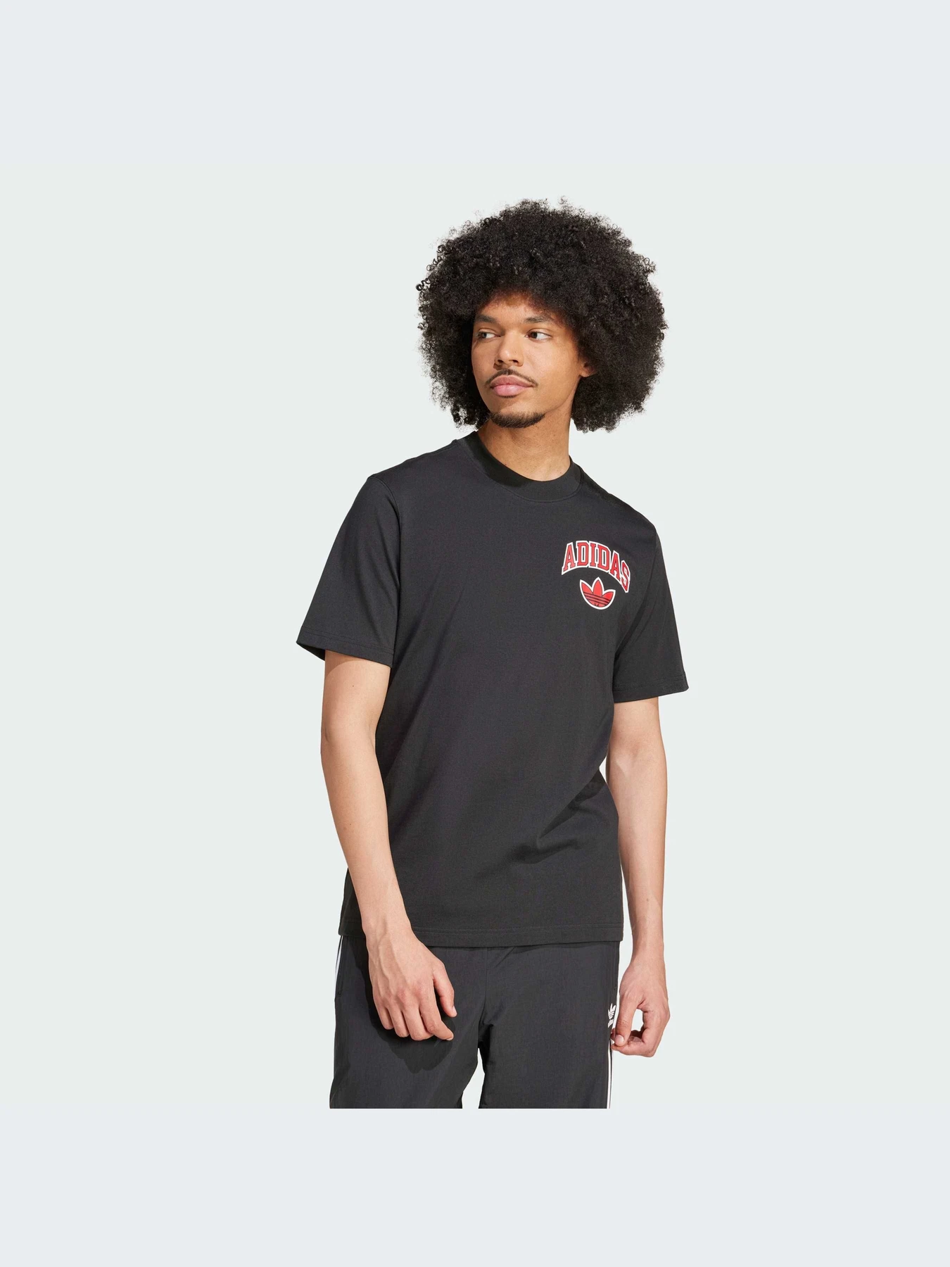 Футболки і поло Adidas Graphics модель IX6760 Футболки і поло Adidas Graphics модель IX6760 Фото