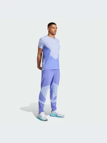 Футболки и поло Adidas модель IW0038 Фото
