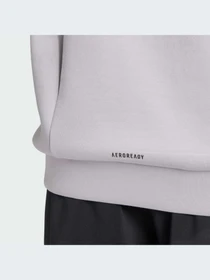 Худи и свитшоты Adidas Clima модель IY1120 Фото
