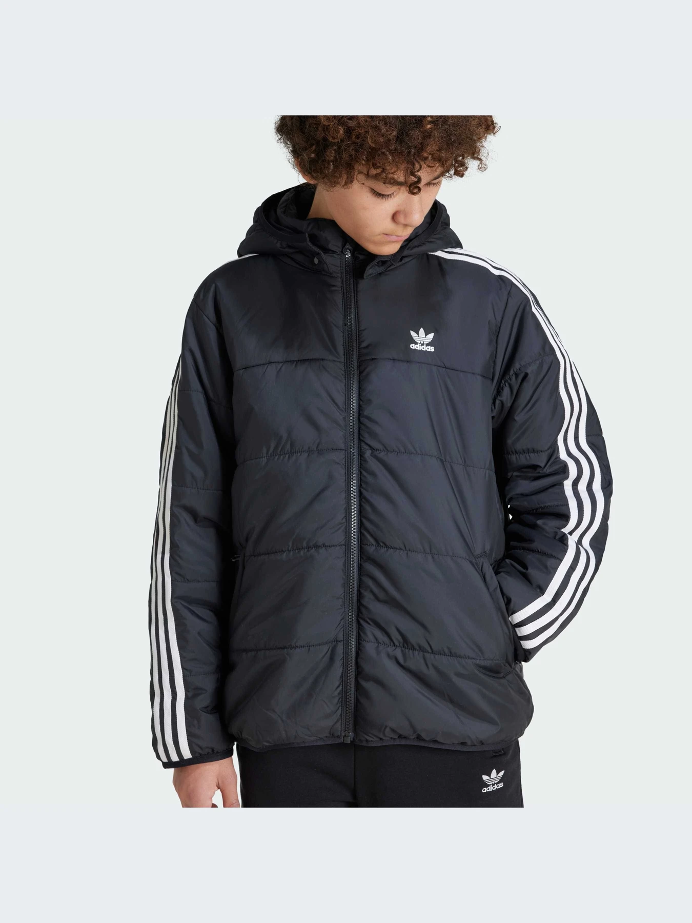 Куртки и дубленки Adidas Adicolor модель IY7497 Куртки и дубленки Adidas Adicolor модель IY7497 Фото