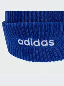 Шапки та кепки Adidas модель IY5582 Фото