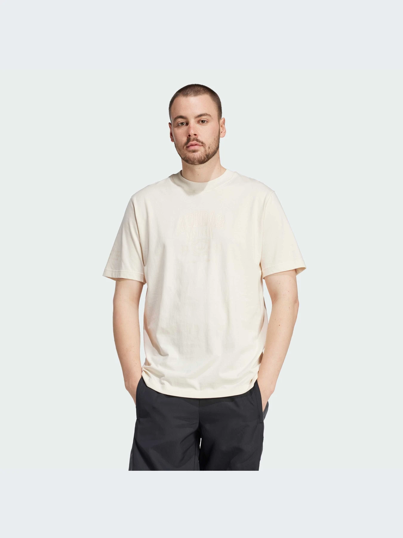 Футболки и поло Adidas Graphics модель IZ2561 Футболки и поло Adidas Graphics модель IZ2561 Фото