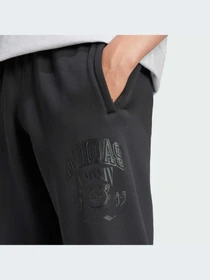 Штани Adidas Graphics модель IZ2565 Фото