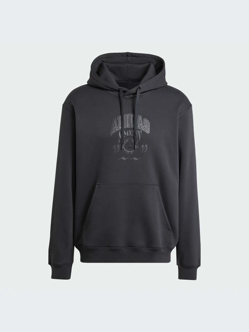 Худи и свитшоты Adidas Graphics модель IZ2566 Фото