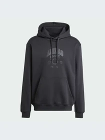 Худи и свитшоты Adidas Graphics модель IZ2566 Фото