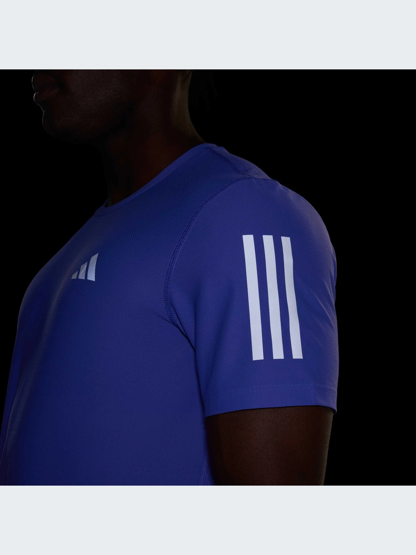 Футболки и поло Adidas модель IV5406 Футболки и поло Adidas модель IV5406 Фото