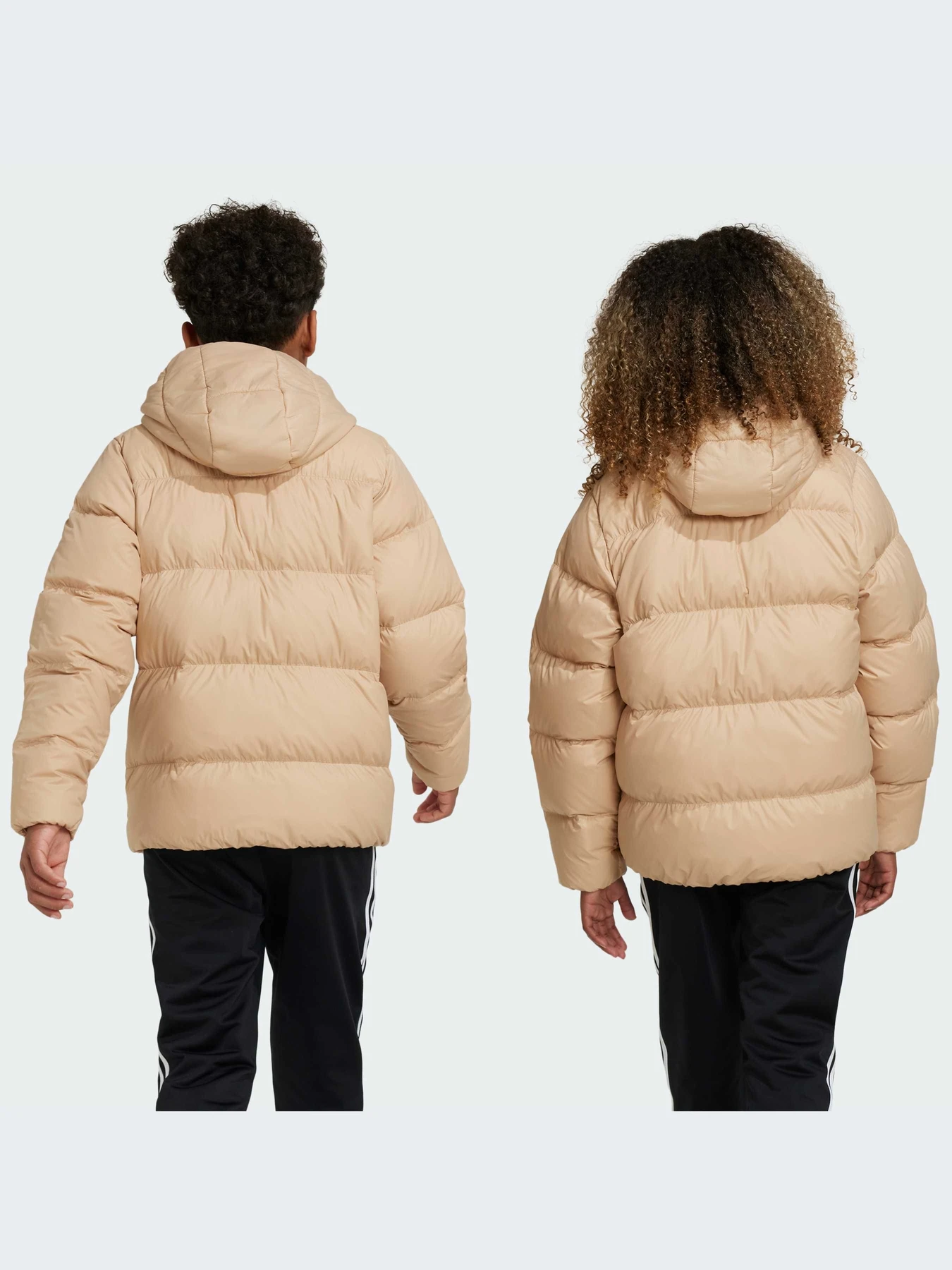 Куртки и дубленки Adidas Adicolor модель IY7500 Фото
