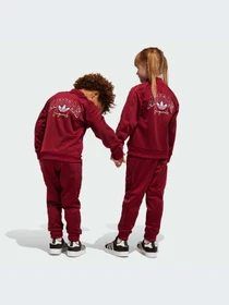 Костюмы Adidas Graphics модель IJ0742 Фото