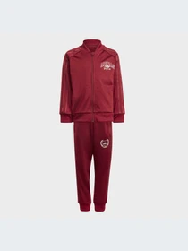 Костюмы Adidas Graphics модель IJ0742 Фото