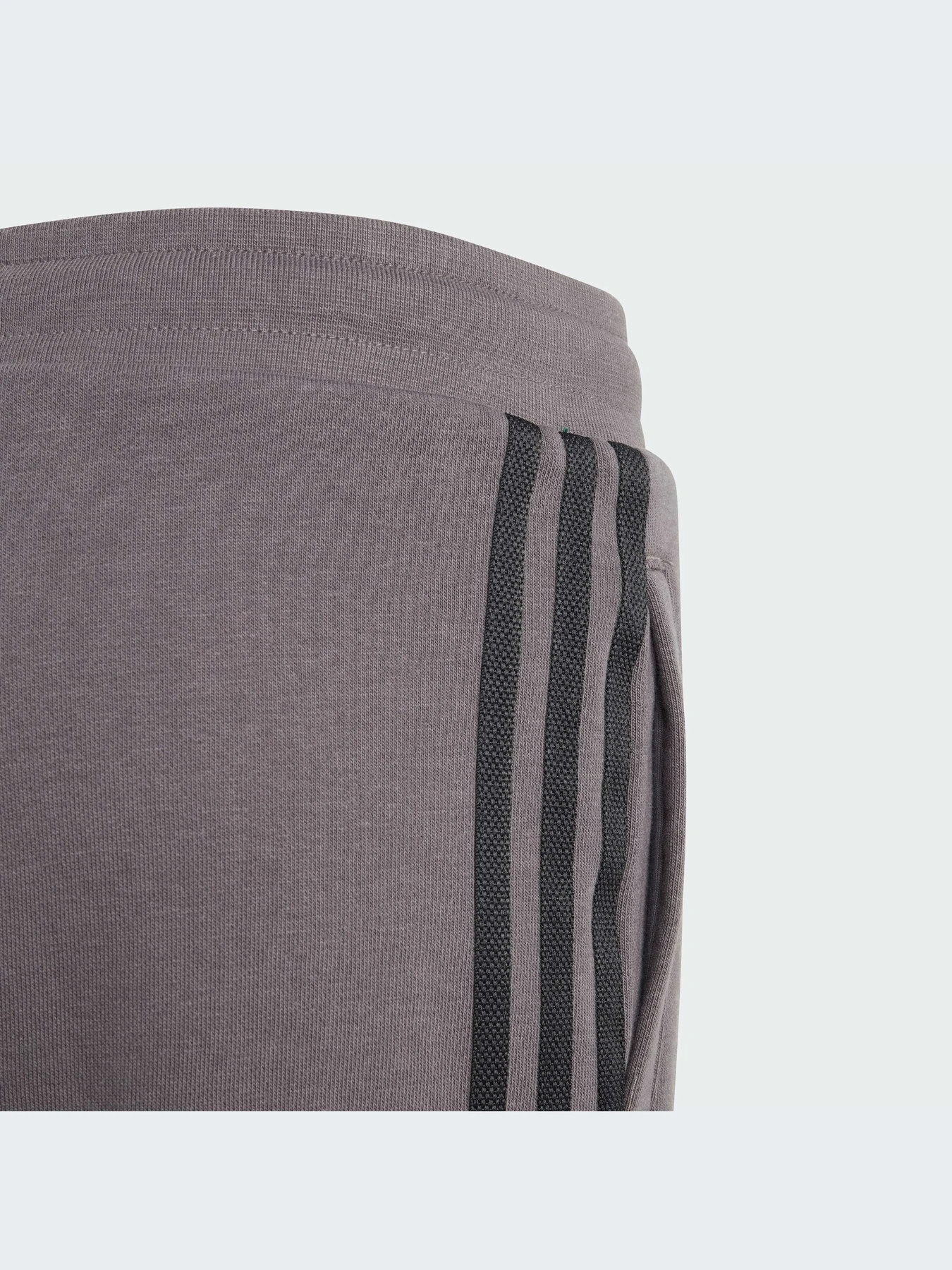 Шорты Adidas Adicolor модель IJ9731 Шорты Adidas Adicolor модель IJ9731 Фото
