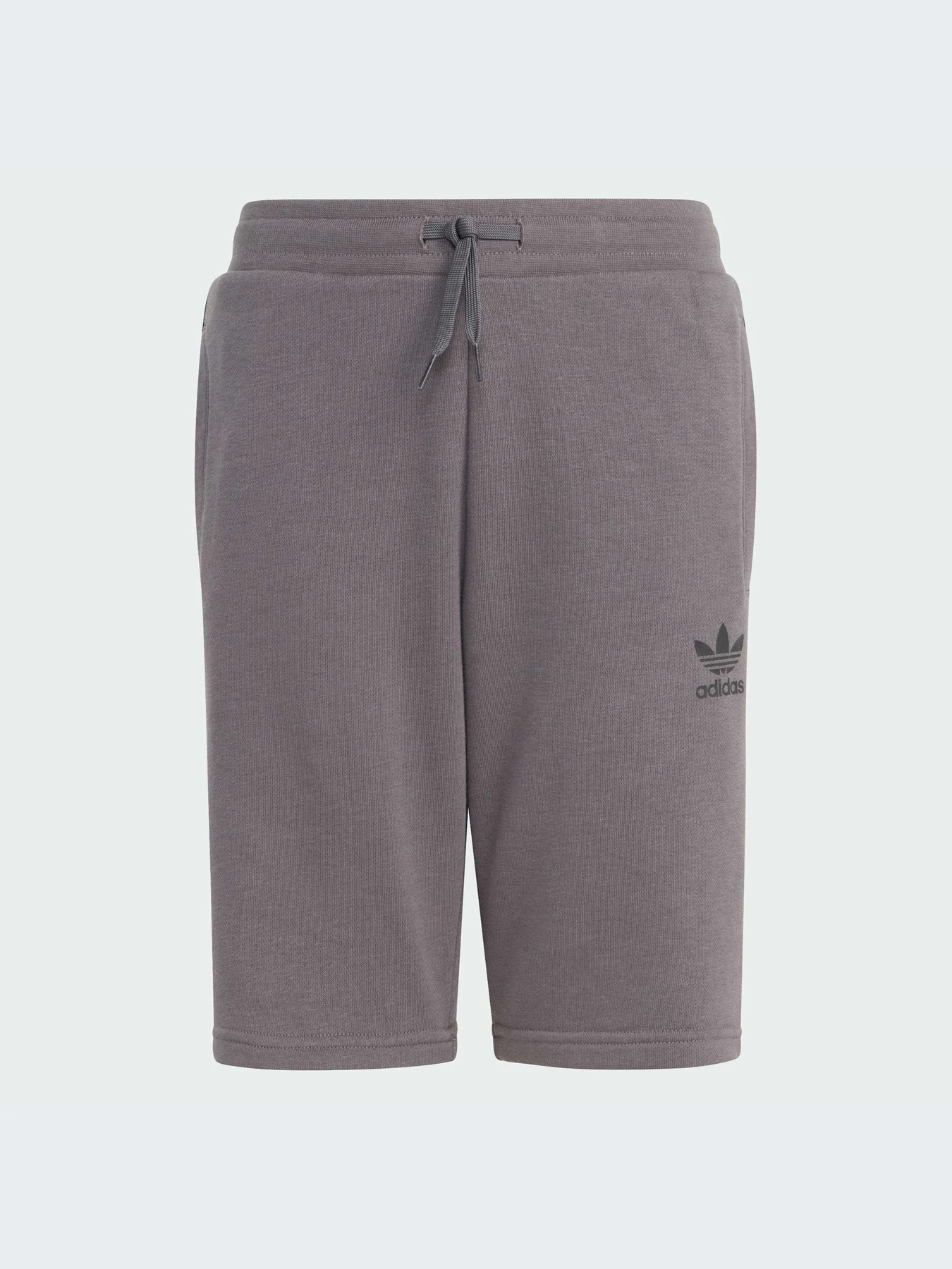 Шорты Adidas Adicolor модель IJ9731 Шорты Adidas Adicolor модель IJ9731 Фото