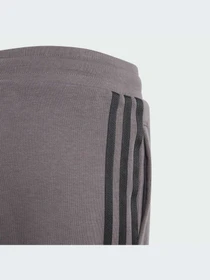 Шорты Adidas Adicolor модель IJ9731 Фото