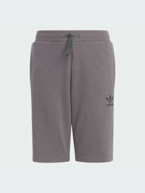 Шорты Adidas Adicolor модель IJ9731 Фото