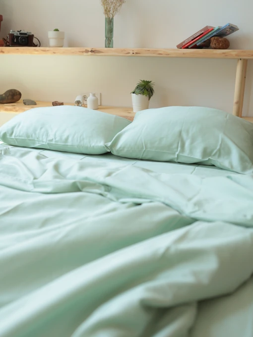 Комплект постельного белья с ткани Сатин цвет Зеленый чай BedclozZzes модель 12863 Фото