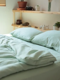 Комплект постільної білизни з тканини Сатин колір Зелений чай BedclozZzes модель 12863 Фото
