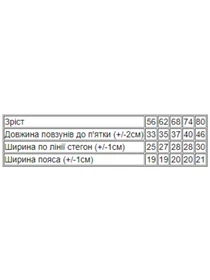 Одяг для немовлят Носи своє модель 5034-024-4-svtlo-blakitnij-milk Фото