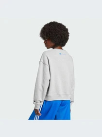 Худи и свитшоты Adidas KSENIA модель IW5666 Фото