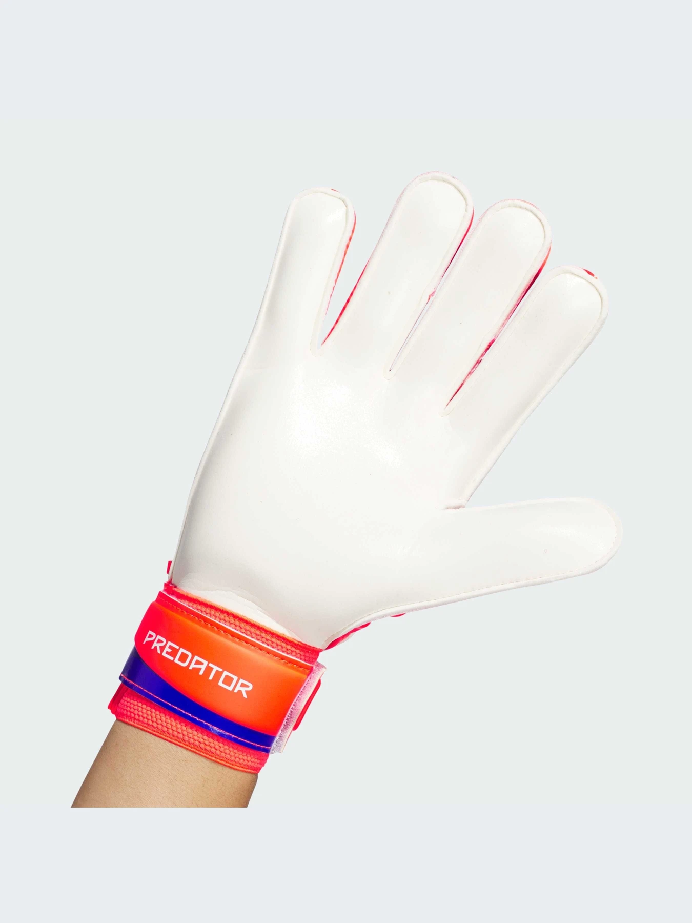 Перчатки для спорта Adidas Predator модель IX3870 Перчатки для спорта Adidas Predator модель IX3870 Фото