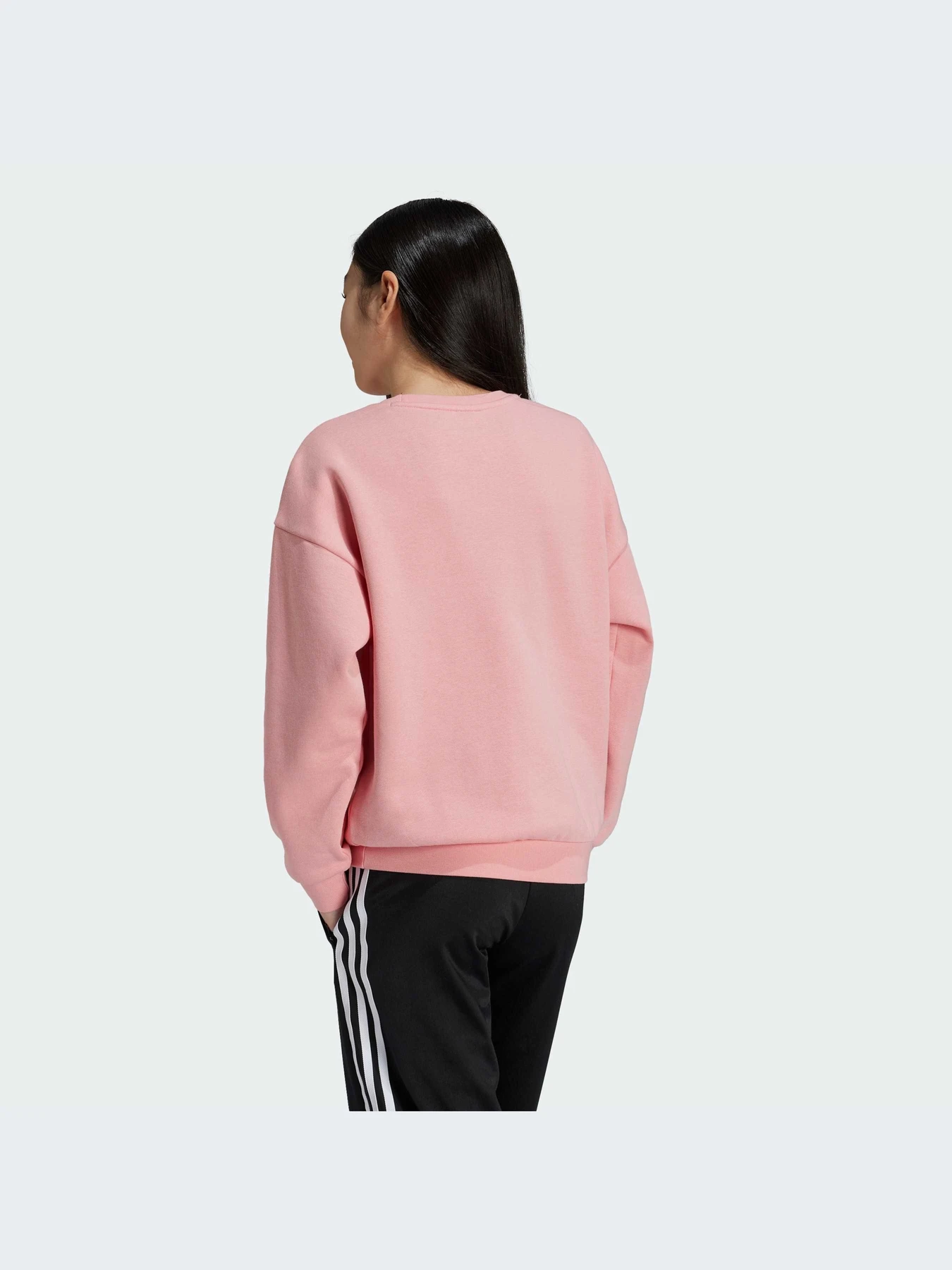 Худи и свитшоты Adidas модель IX7639 Фото