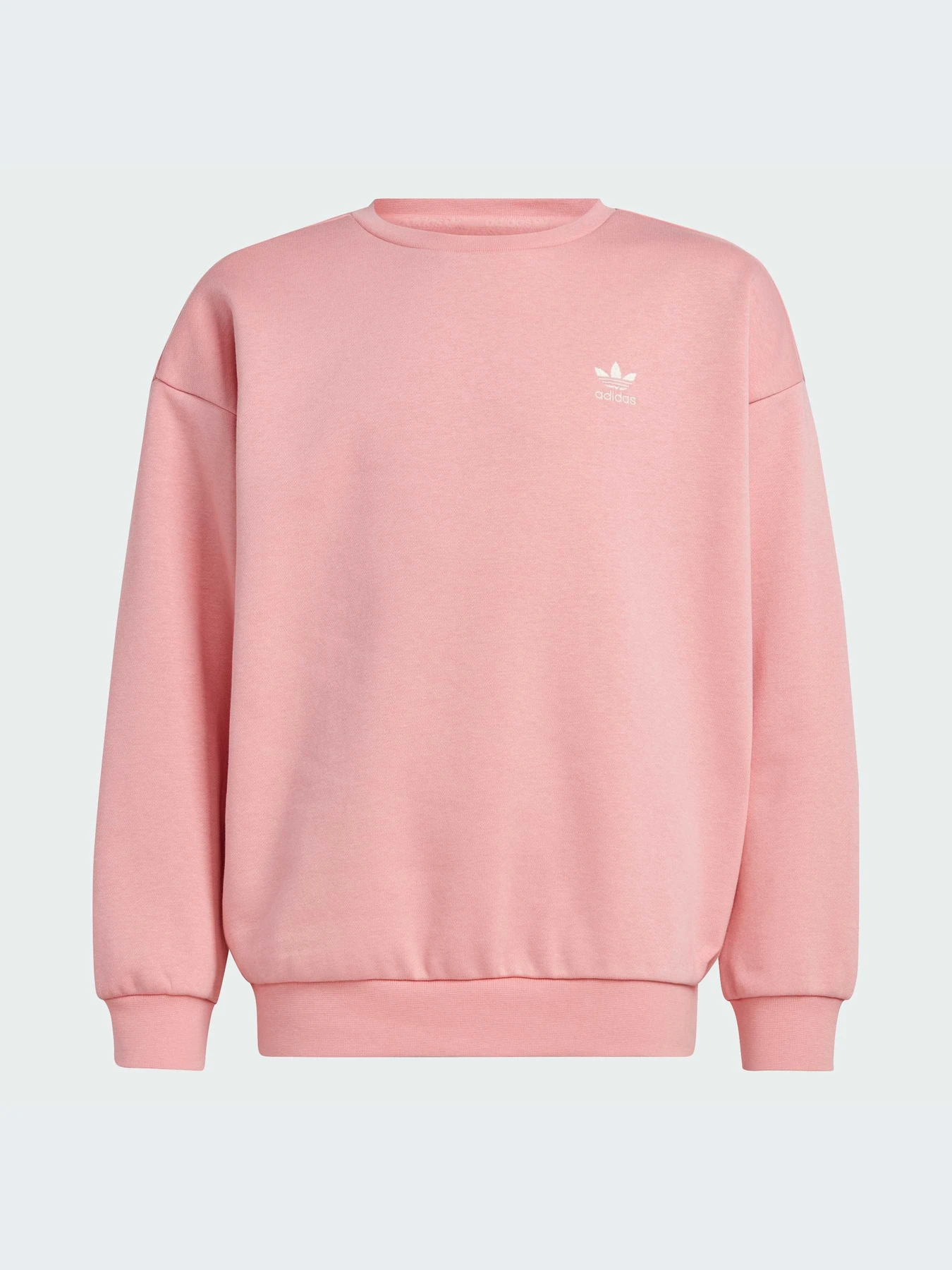 Худи и свитшоты Adidas модель IX7639 Фото