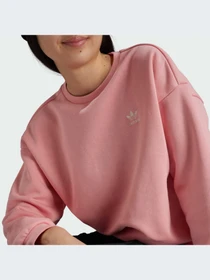 Худи и свитшоты Adidas модель IX7639 Фото
