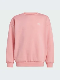 Худи и свитшоты Adidas модель IX7639 Фото