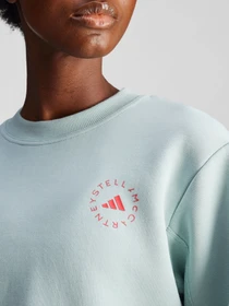 Худи и свитшоты Adidas модель IW9910 Фото