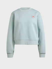 Худи и свитшоты Adidas модель IW9910 Фото