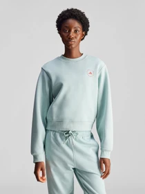 Худи и свитшоты Adidas модель IW9910 Фото