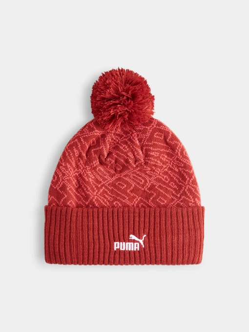 Шапки и кепки PUMA Ess Pom Beanie модель 025469 Фото
