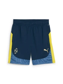 Шорты PUMA Neymar Jr Bna Training Short модель 659713 Фото