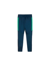 Брюки PUMA Neymar Jr Bna Training Pants модель 659706 Фото