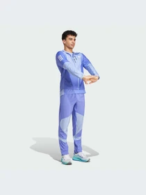 Брюки Adidas модель IV5415 Фото