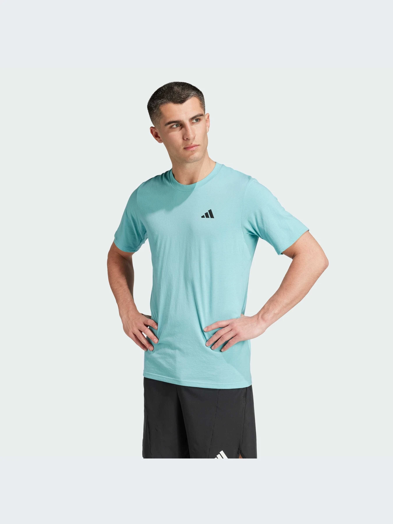 Футболки и поло Adidas модель IW3328 Фото