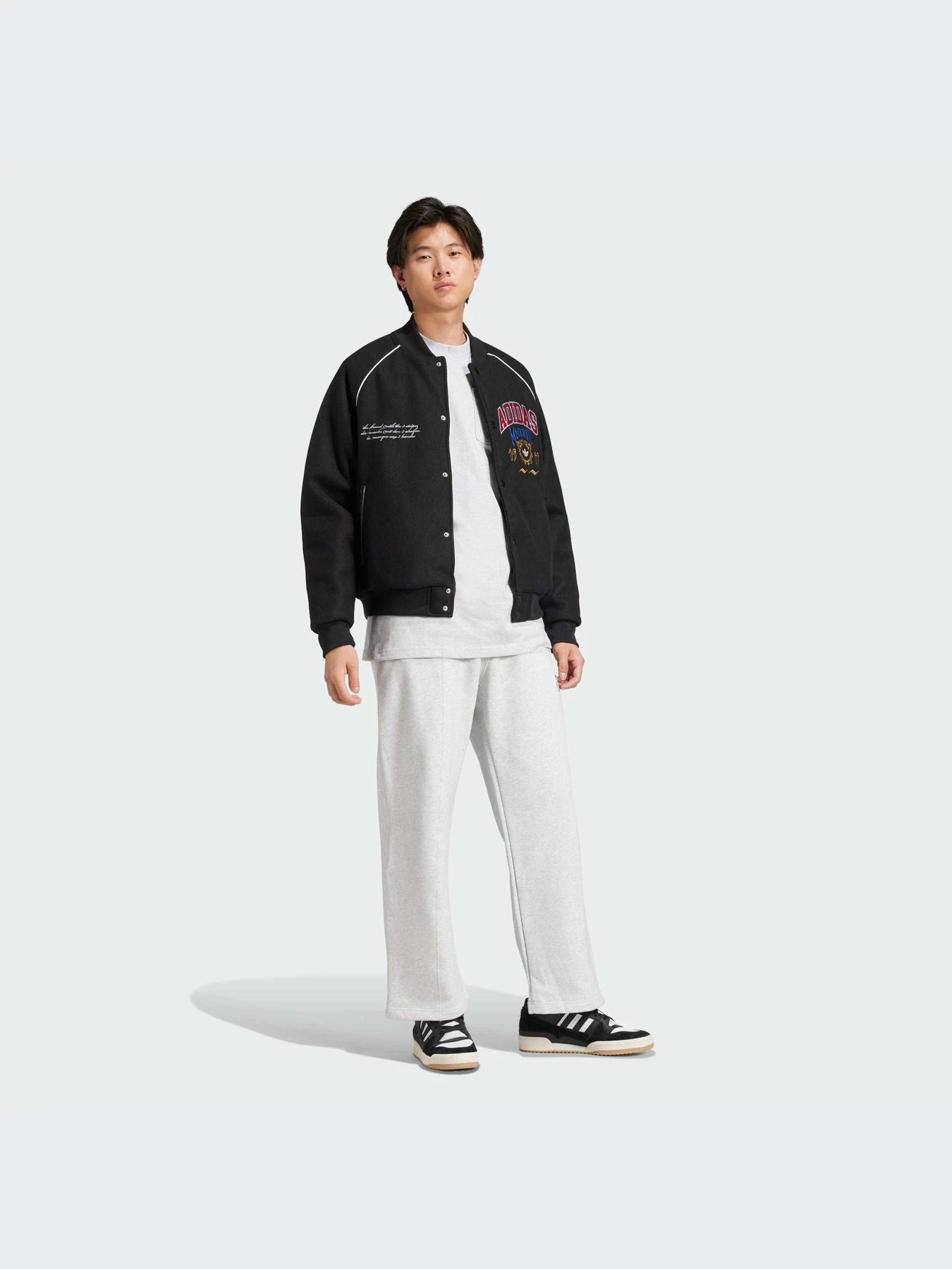 Куртки та дублянки Adidas Graphics модель IX6767 Куртки та дублянки Adidas Graphics модель IX6767 Фото