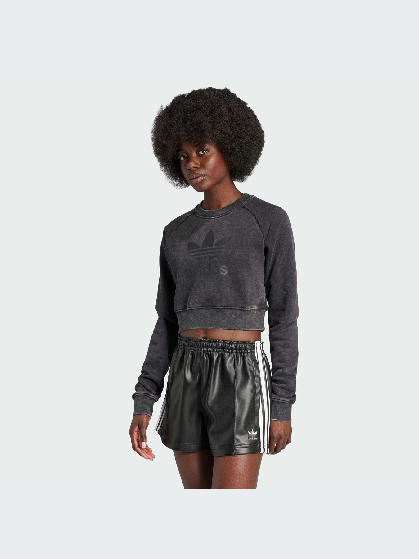 Худи и свитшоты Adidas модель IW5559 Худи и свитшоты Adidas модель IW5559 Фото