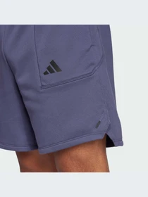 Шорты Adidas модель IX9115 Фото