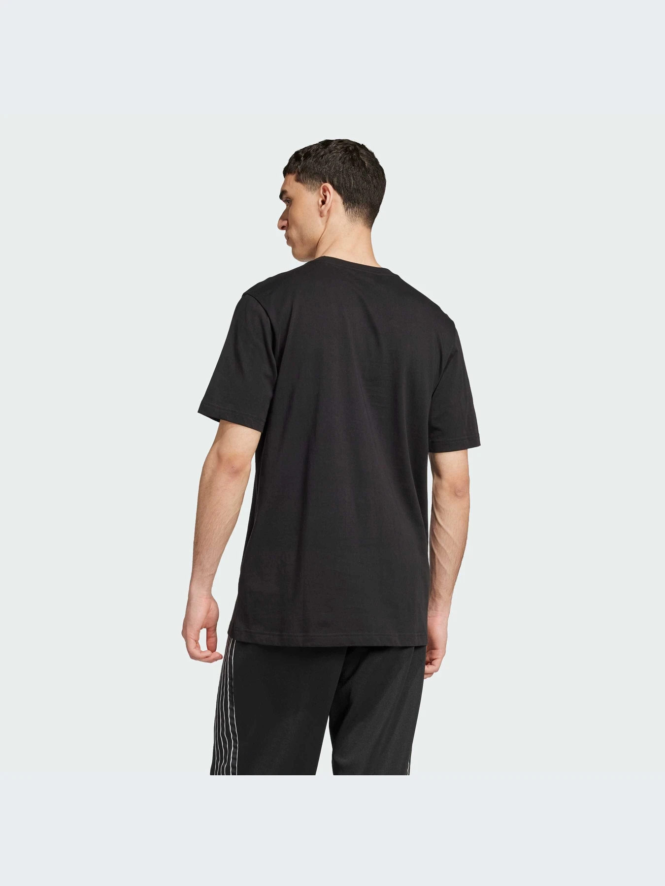 Футболки і поло Adidas Adicolor модель IY4882 Футболки і поло Adidas Adicolor модель IY4882 Фото