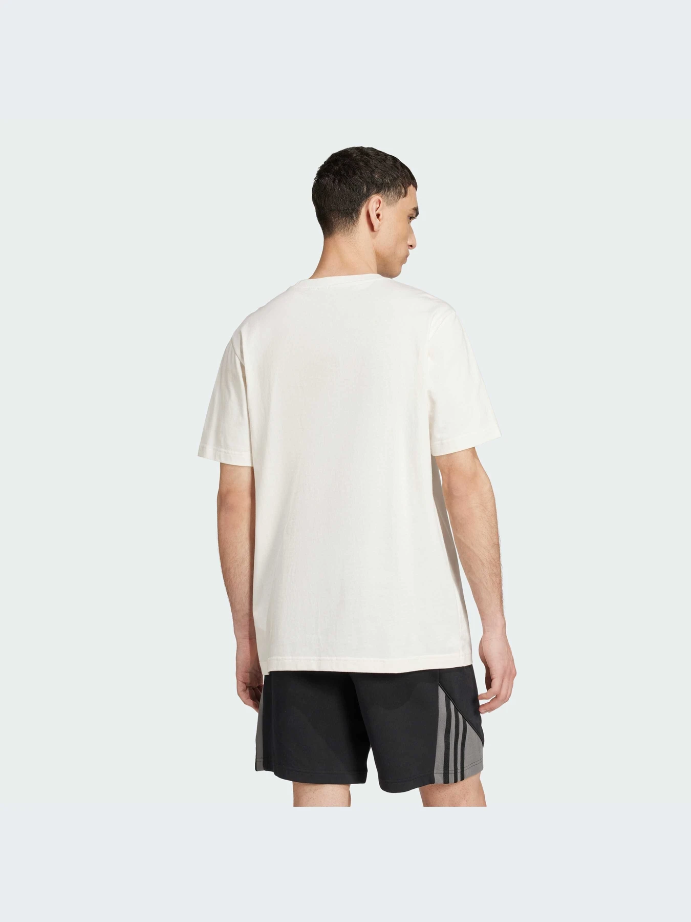Футболки і поло Adidas Adicolor модель IY4890 Футболки і поло Adidas Adicolor модель IY4890 Фото