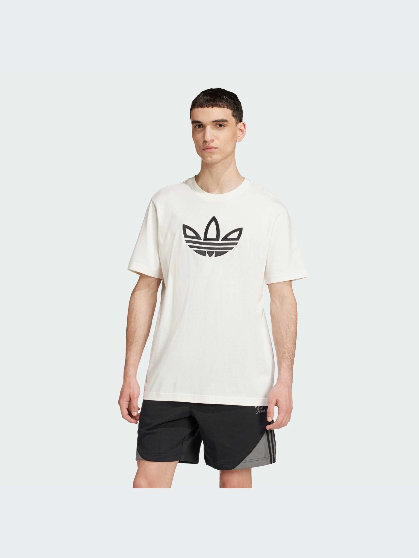 Футболки і поло Adidas Adicolor модель IY4890 Футболки і поло Adidas Adicolor модель IY4890 Фото
