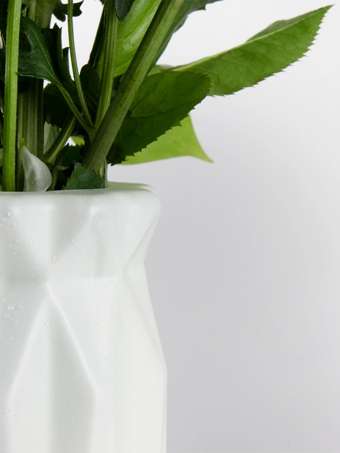 Ваза для цветов пластиковая белая MBM HOME модель DH-FLOWERS-01 WHITE Ваза для цветов пластиковая белая MBM HOME модель DH-FLOWERS-01 WHITE Фото