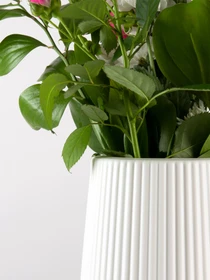 Ваза для цветов пластиковая белая MBM HOME модель DH-FLOWERS-03 WHITE Фото